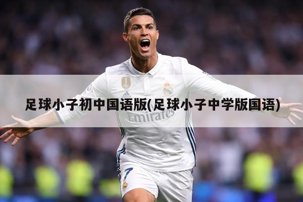 足球小子初中国语版(足球小子中学版国语)