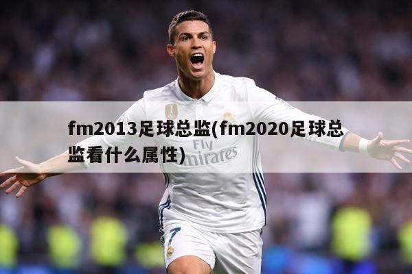 fm2013足球总监(fm2020足球总监看什么属性)