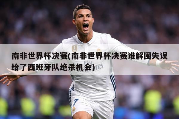 南非世界杯决赛(南非世界杯决赛谁解围失误给了西班牙队绝杀机会)