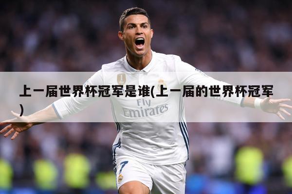 上一届世界杯冠军是谁(上一届的世界杯冠军)