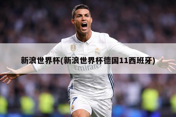 新浪世界杯(新浪世界杯德国11西班牙)